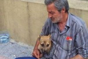Yavru k&ouml;peğe akıl almaz işkence