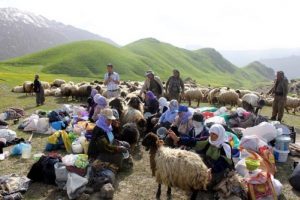 &Ccedil;&ouml;z&uuml;m s&uuml;reci, yaylaları şenlendirdi
