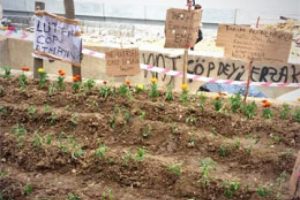 Taksim'de g&ouml;stericiler gezi bostanı kurdu