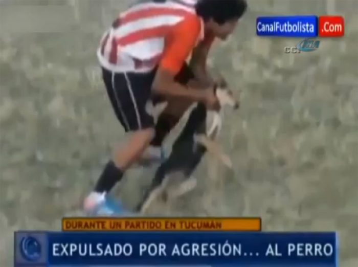 K&ouml;peğe saldıran futbolcu kırmızı kart g&ouml;rd&uuml;