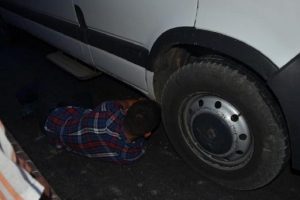 Kedi kurtarma operasyonu