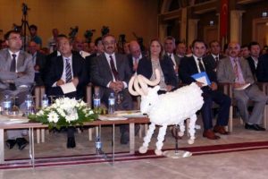 Bakan Eker s&uuml;t ve zeytinyağı desteklerini a&ccedil;ıkladı