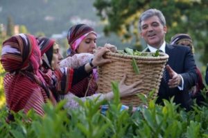 Rize'den G&uuml;l ge&ccedil;ti