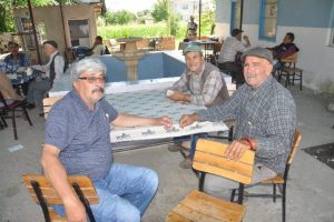 Mahalleyi fareler bastı