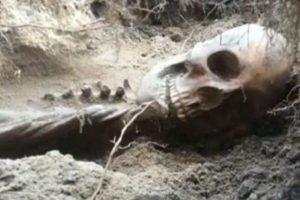 400 yıllık iskelete 5 bin dolarlık fatura