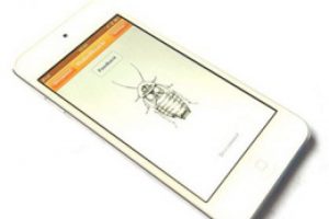 Canlı b&ouml;ceği telefonla kontrol ettiler!