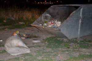 Maydonoz bah&ccedil;esine yatan k&ouml;peği vurdu