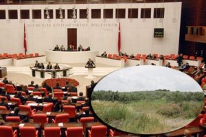 Zeytin haberimiz TBMM g&uuml;ndemine taşındı