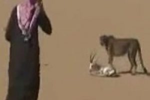 &Ccedil;itayı evcilleştirip av hayvanı yaptılar