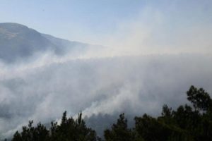 Hatay'da yangın s&ouml;nd&uuml;rme &ccedil;alışmaları s&uuml;r&uuml;yor