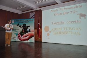 Caretta carettaların &ouml;l&uuml;m sebebi