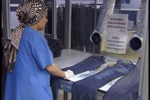 2.5 milyon işletme, 11.5 milyon &ccedil;alışan