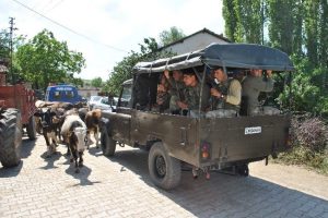 Tarlaya giren inekler y&uuml;z&uuml;nden kavga