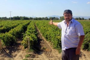 &Uuml;z&uuml;m hasadı yaklaşırken, &uuml;retici sıkıntılı