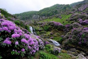 Trabzon'daki otellerde y&uuml;zde y&uuml;z doluluk