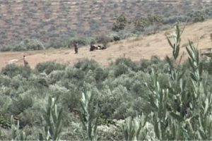 Sınırdaki hendek &ccedil;alışmaları Suriyeli aileleri engelledi