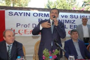 Bakan havadan ormanları kontrol etti