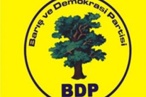 BDP'nin ana talebi &Ouml;calan'ın &ouml;zg&uuml;rl&uuml;ğ&uuml;