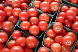 Domatesin yeni fiyatı can yakıyor!