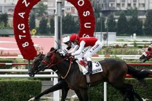 Zafer Divine Heart'ın