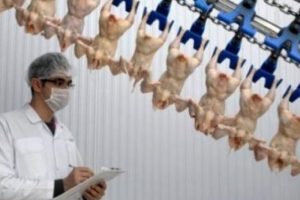 Şeker Pili&ccedil; &uuml;retime başladı