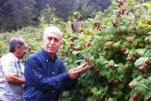 Vali Harput  bah&ccedil;eleri gezdi