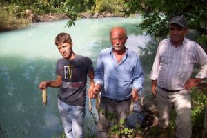 Balık &ouml;l&uuml;mleri korkuttu