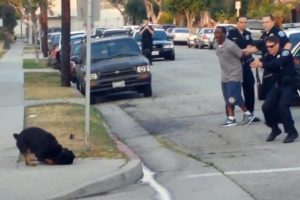 Sahibini korumak isteyen k&ouml;peğe polis kurşunu