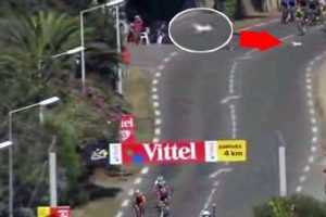 Minik k&ouml;pek Tour de France'ı karıştırıyordu!