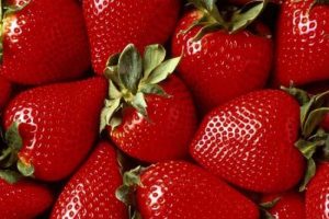 &Ccedil;ilek &uuml;reticisi sezonu mutsuz kapattı