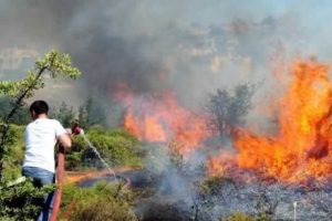 Bodrum'da yangın