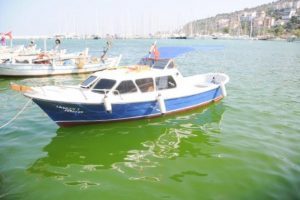 Deniz suyu yeşile d&ouml;n&uuml;şt&uuml;