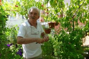 &Ccedil;atıyı bah&ccedil;eye &ccedil;evirdiler