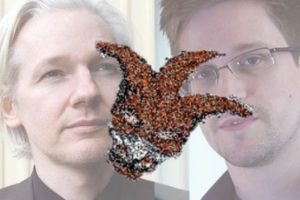 Vatansever hacker Assange ve Snowden'ı hedef aldı