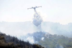 İzmir'de orman yangını