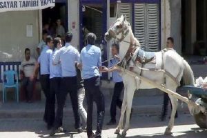 At arabası gerginliği