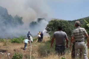 Anız ateşi 5 hektar ormanı yaktı