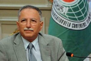 İslam İşbirliği Teşkilatı'ndan Mısır &ccedil;ağrısı