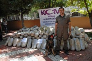 Batman polisinin Lice operasyonu