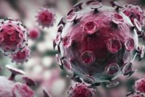 MERS i&ccedil;in acil komisyon kuruldu