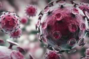 MERS i&ccedil;in acil komisyon kuruldu
