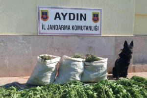 Hint keneviri bah&ccedil;esi kuran baba ve oğula tutuklama
