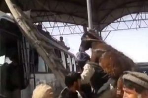 Eşeğini sırtında taşıdı