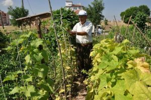Hobi bah&ccedil;esinden iftar sofralarına