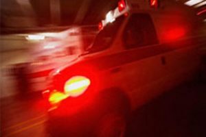Halk otob&uuml;s&uuml;nde akrep soktu
