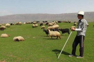 Onların evlenme sorunu Meclis'e taşındı
