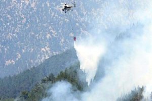Antalya'da orman yangını