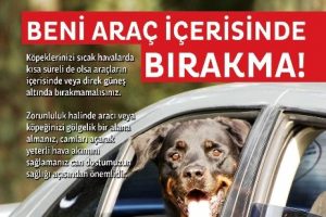 "Beni ara&ccedil; i&ccedil;erisinde bırakma"