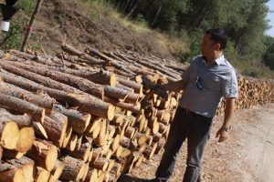 &Uuml;&ccedil; yılda 50 kişi orman su&ccedil;u işledi