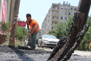 220 derecede ekmek m&uuml;cadelesi